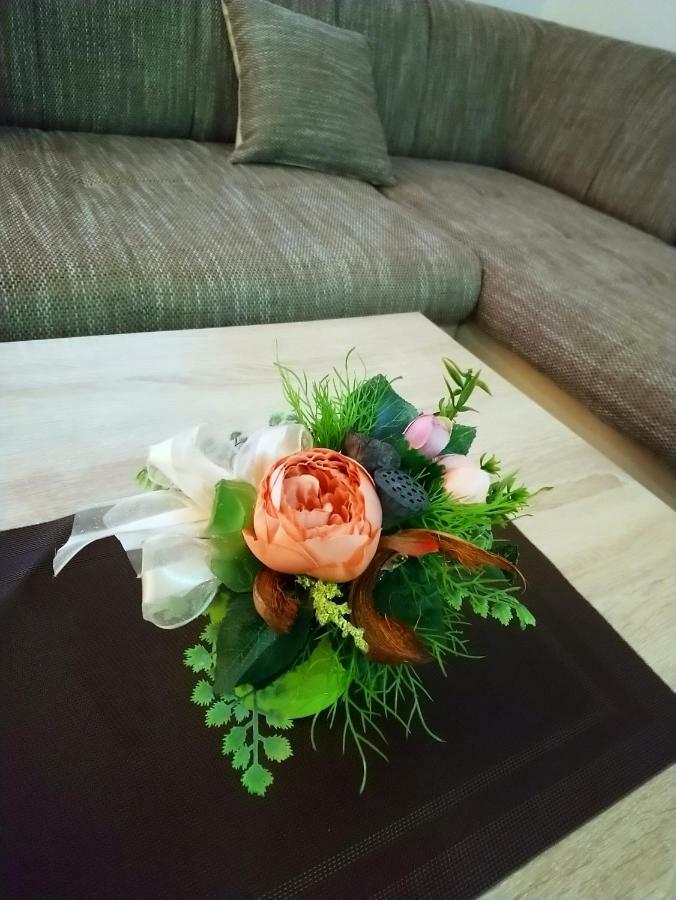 Apartman Danijela Otocsán Kültér fotó
